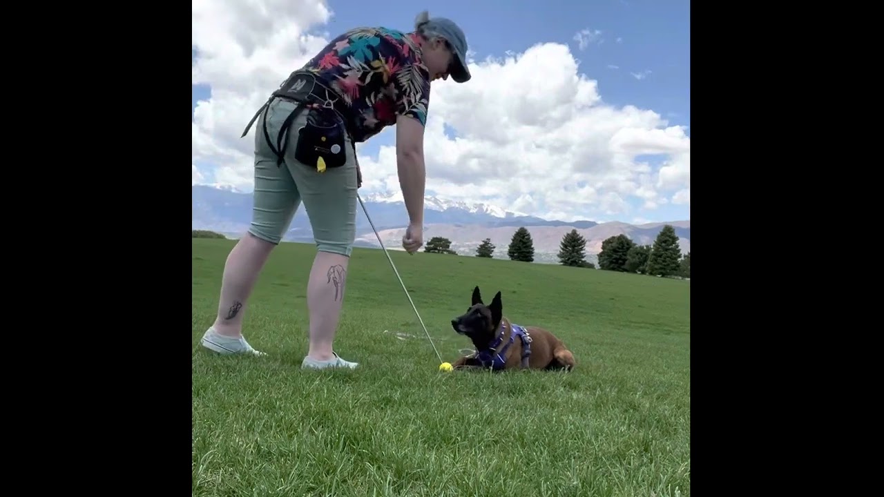 Two methods of teaching “crawl”