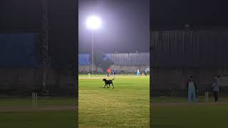 NOIDA | CORPORATE CRICKET MATCH | TEAM DHURANDHARS #cricket #cricketmatch #daynight screenshot 1