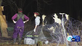 Woman who helped rescue hundreds of animals from Oswego County property speaks out on what she saw