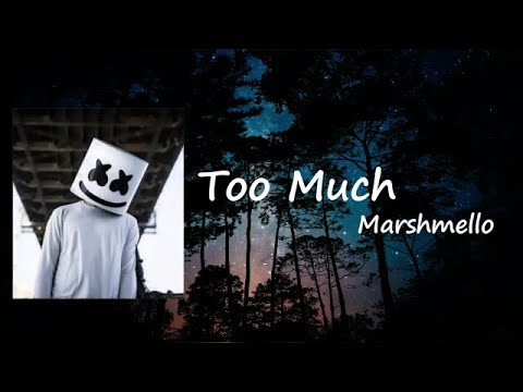 Marshmello x Imanbek (Ft. Usher) - Too Much Lyrics