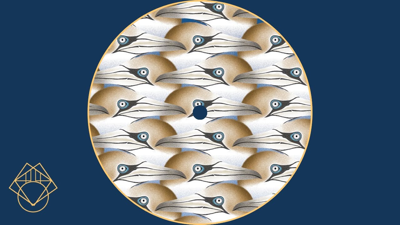 20syl & Christophe Panzani • Dreams ft • Yael Naim