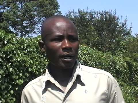 Kewerimidde: Lima balugu ogobe enjaala