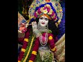 52528 #gita #adhyay5 #sloka # #ytshorts #krishna #gyan #mahabharat #yudh #ram #shiv #ayodhya #om