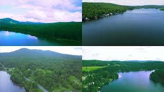 Selected NEK Views
