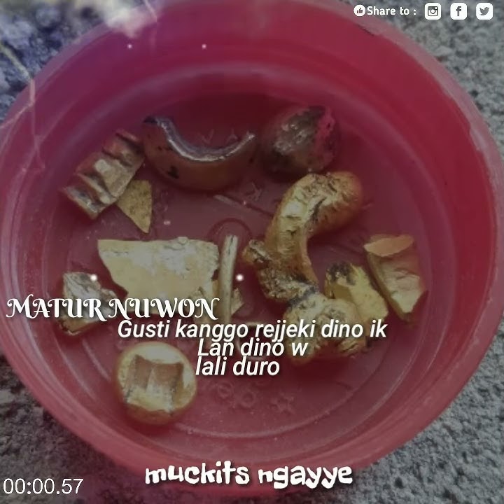 Story wa 30 detik anak metal detector