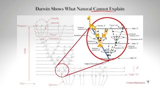 Darwin Agrees: Natural Selection Fails