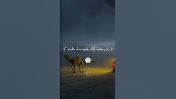 سورة العنكبوت  " الآية  5 - 6 "  🕋