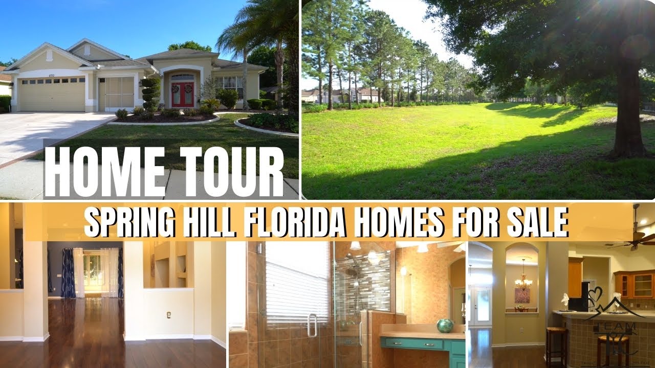 Spring Hill Florida Homes For Sale YouTube