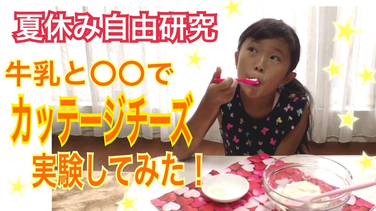 夏休み自由研究 簡単 実験やってみた カッテージチーズの作り方を知って Youtube