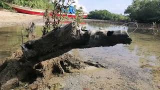 3rd Day at Palasan Island | SirJMathWorld