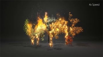 Interactive Wood Combustion for Botanical Tree Models