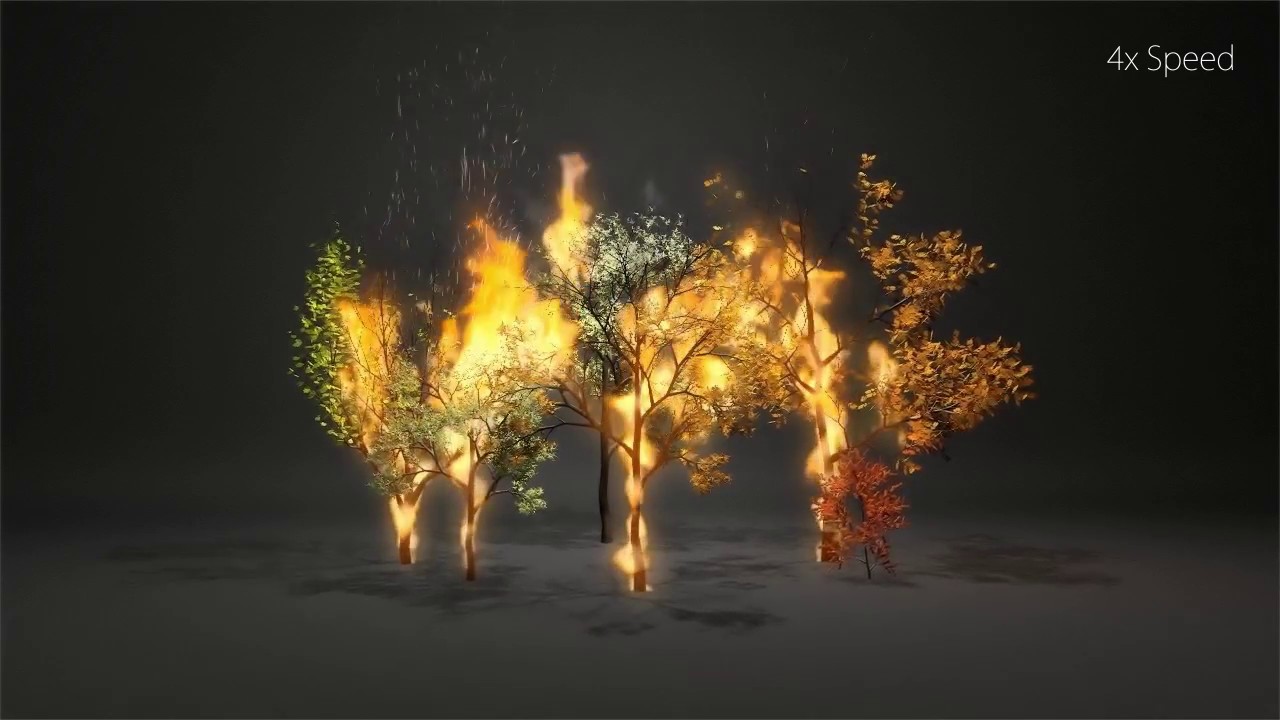 Interactive Wood Combustion for Botanical Tree Models YouTube
