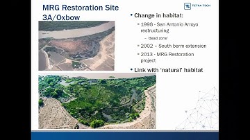 2019 MRGESCP Science Symposium: SWFL and Western YBCU Use at Restoration Sites