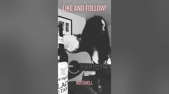 Alice in Chains - Nutshell (cover) drunk & fail