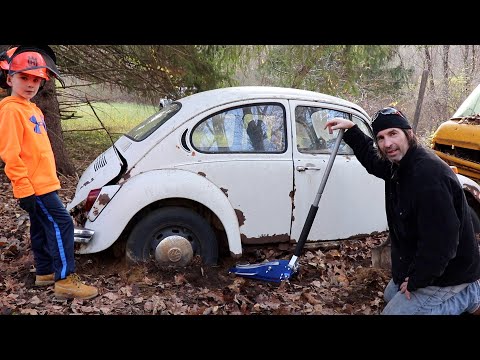 vw-beetle-rescue-|-bug-sitting-for-40-years-in-the-woods.