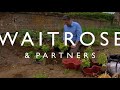 Alan Titchmarsh shows you how to grow your own strawberries - Waitrose