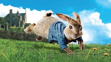 PETER RABBIT RUN