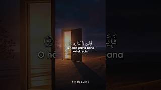 Ankebut Suresi Ayet 56-57 Okuyan Abdurrahman Mossad #kuran #ayet