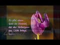 Bibellese 26.11.2022 – Daniel 2,24-3,30 // 1. Petrus 5 // Psalm 119,81-96 // Sprüche 28,15-16