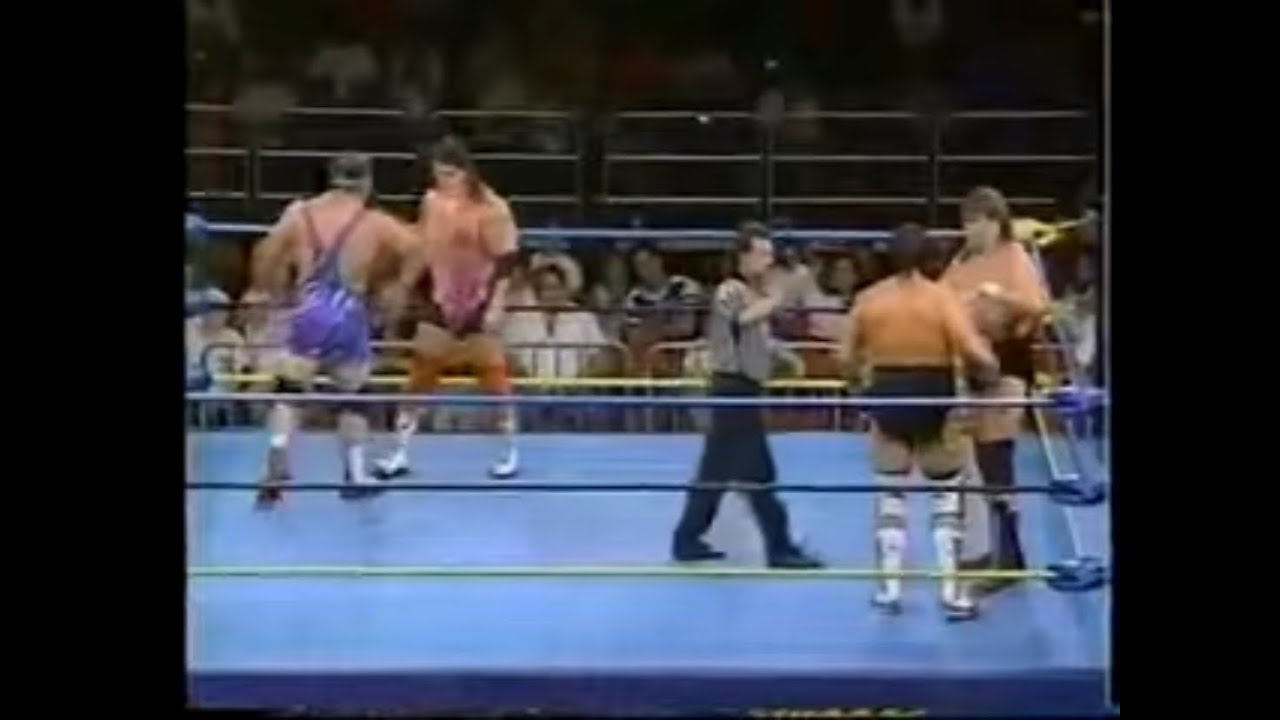 WWE スティーブ・ウィリアムス Classicスーパースターズ テリー・ゴディ & スティーブ・ウィリアムス vs スタイナー
