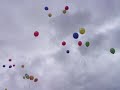 Ref:3lOL40PBjac Cl�ture �t� 2010: l�cher ballon!