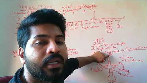 Molecular Basis of Inheritance Part 8