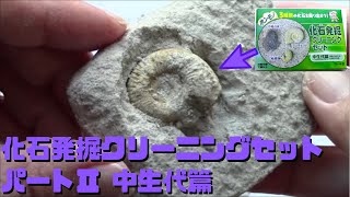 【古生物玩具】化石発掘クリーニングセット パートⅡ 中生代篇(東京サイエンス)