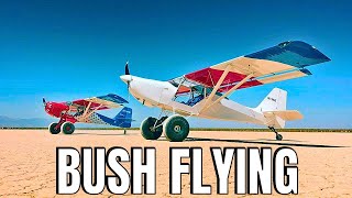 Top 5 Cheapest Bush Airplanes - FULL Costs and Specs Breakdown