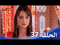 حبيبي دائما الحلقة 37 حبيبي دائما الحلقة 37