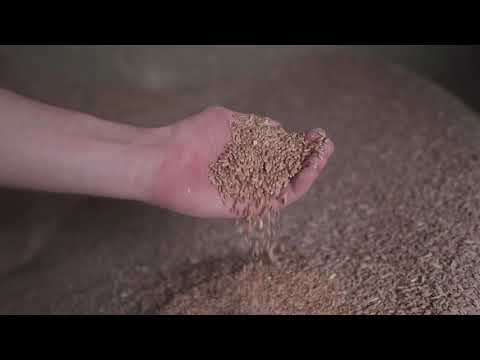 Our Ingredients: Shipton Mill | Peter's Yard