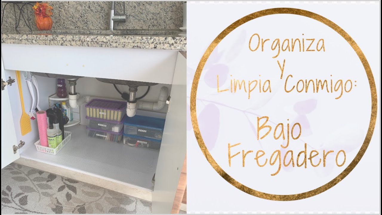Organiza y Limpia Conmigo: Bajo Fregadero - 2020!