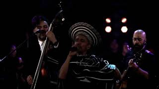 Las Batallas/Rarotonga - Cafe Tacvba - MTV Unplugged 2019