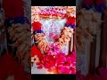 Jai Ho Maiya 🙏 | Navratri Ki Hardik Shubhkamnayein #shorts #viral