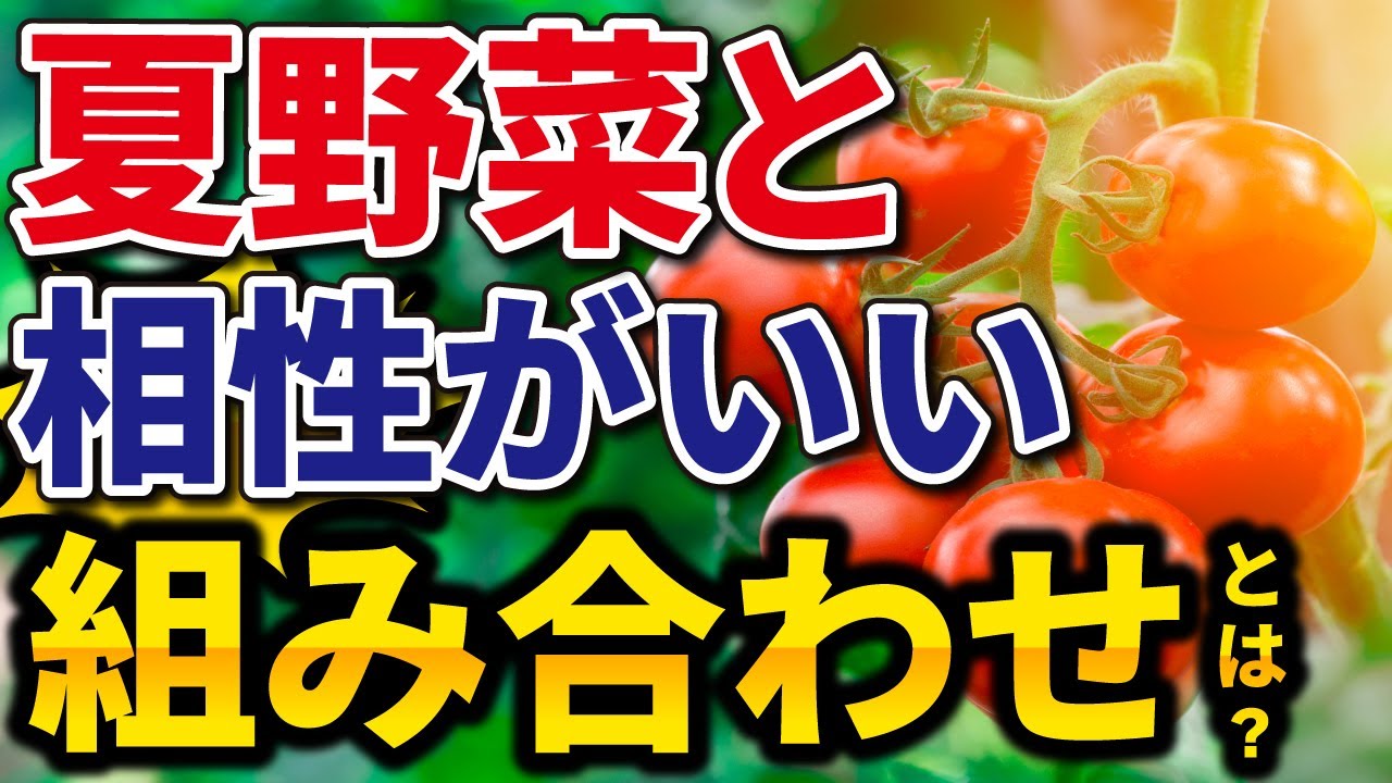 初心者もできる 夏野菜が美味しくなる 相性がよい野菜の組み合わせ 家庭菜園 コンパニオンプランツ Youtube