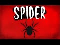 roblox spider ilk gösterim!!