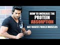 How to increase Protein Absorption to Build Muscles | 5 Tips by Guru Mann