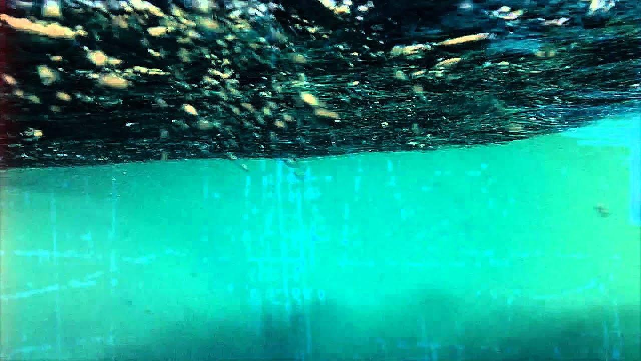 respect the ocean | 215