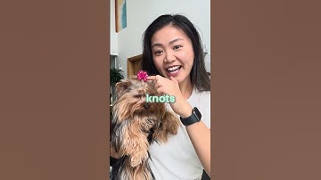 Manychat vs Respond.io vs Superbench vs Sleekflow