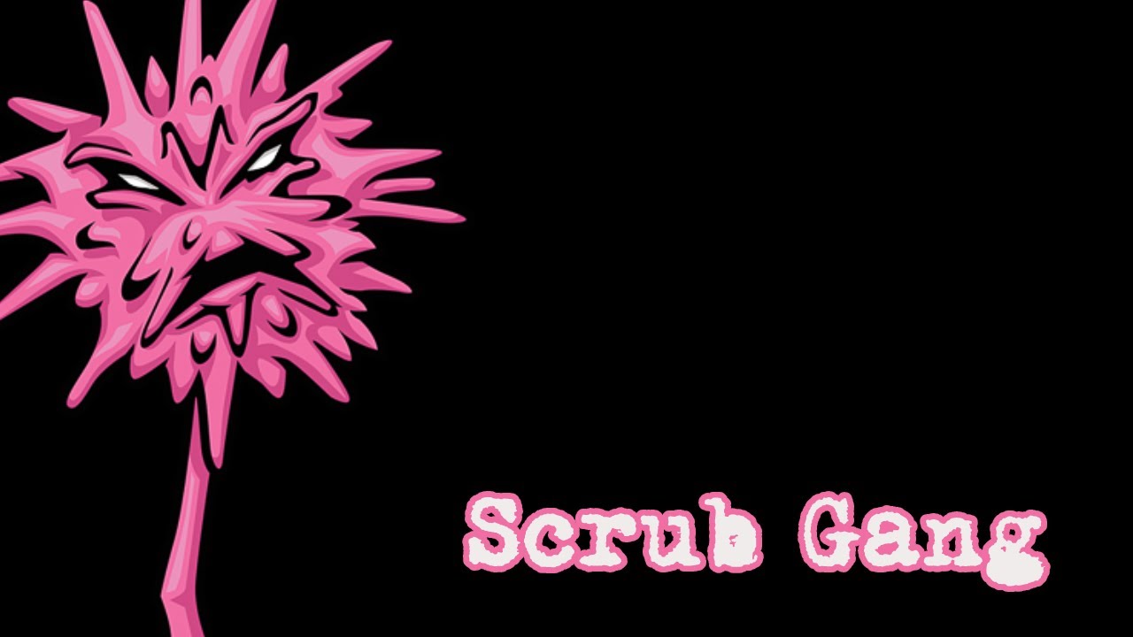 Insane Clown Posse Scrub Gang YouTube