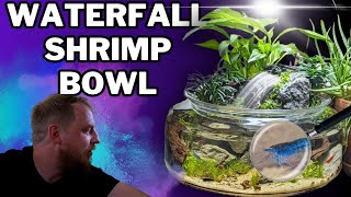 The shrimp bowl ecosystem for my table (with SKITTLES shrimp)