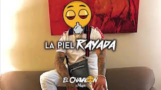 La Piel Rayada-Junior H