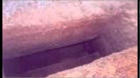 سورة الشرح لاجمل الاصوات وباجود تسجيل للشيخ مشاري بن راشد العفاسي