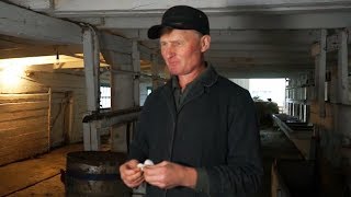 видео: Сельский ветеринар | ЧЕЛОВЕК НА КАРТЕ картинка: Сельский ветеринар | ЧЕЛОВЕК НА КАРТЕ