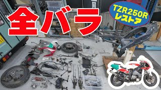 全バラ【TZR250R 3XVレストア】