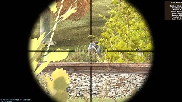 DAYZ Random Clip Compilation Vol. I