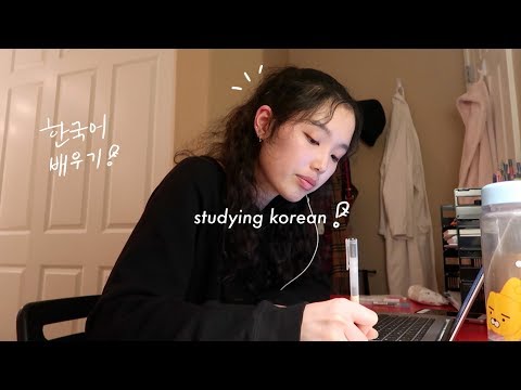 Learn Korean: how to learn korean + some more tips | not really studying with nina 10