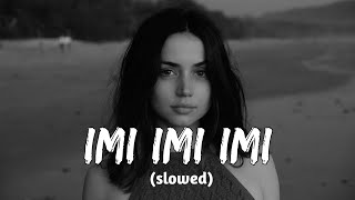 N'y Pense Plus [ imi imi imi  (slowed) Resimi