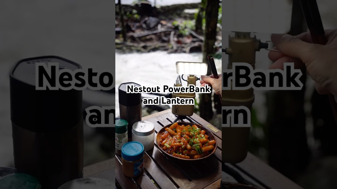 Nestout Powerbank & Lantern. Teh best camping gear! 