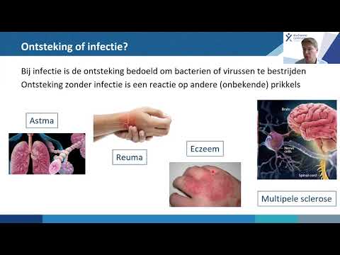 Video: Verschil Tussen Glucocorticoïden En Corticosteroïden