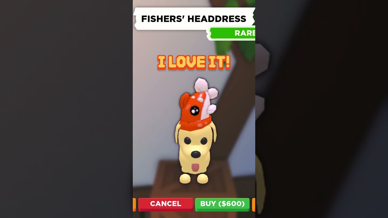 RAIN UPDATE IS OUT! 🏴‍☠️🦜 I'm in my pirate era babyyyy